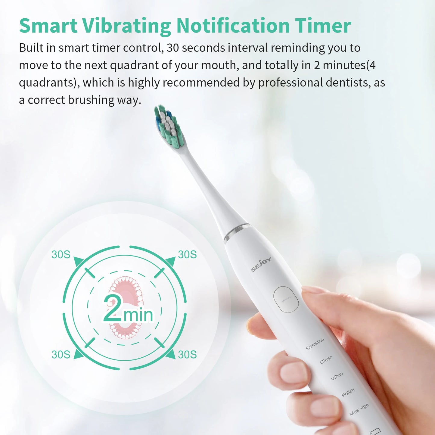 Sejoy Sonic Electric Toothbrush with 12 Brush Heads