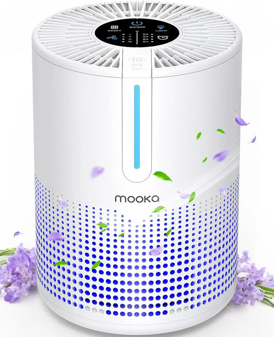 Portable Air Purifier with H13 HEPA Filter for Home